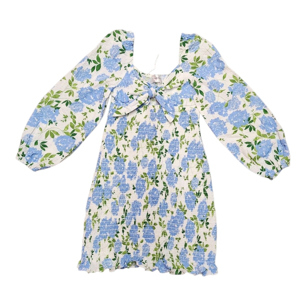 Lavender Brown Karter Floral Blue and Ivory Mini Dress NWT Sm